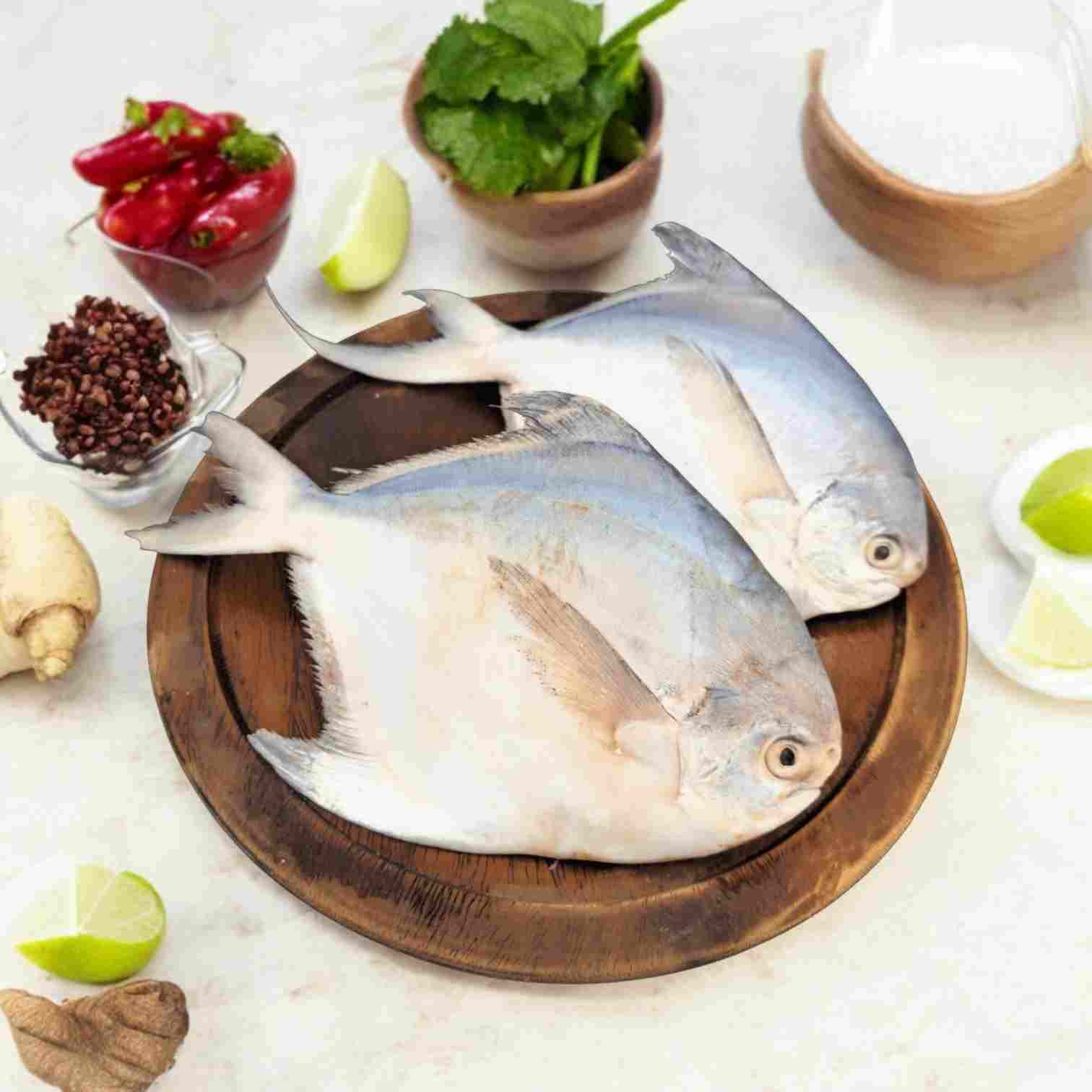 Pomfret Fish - Medium Size